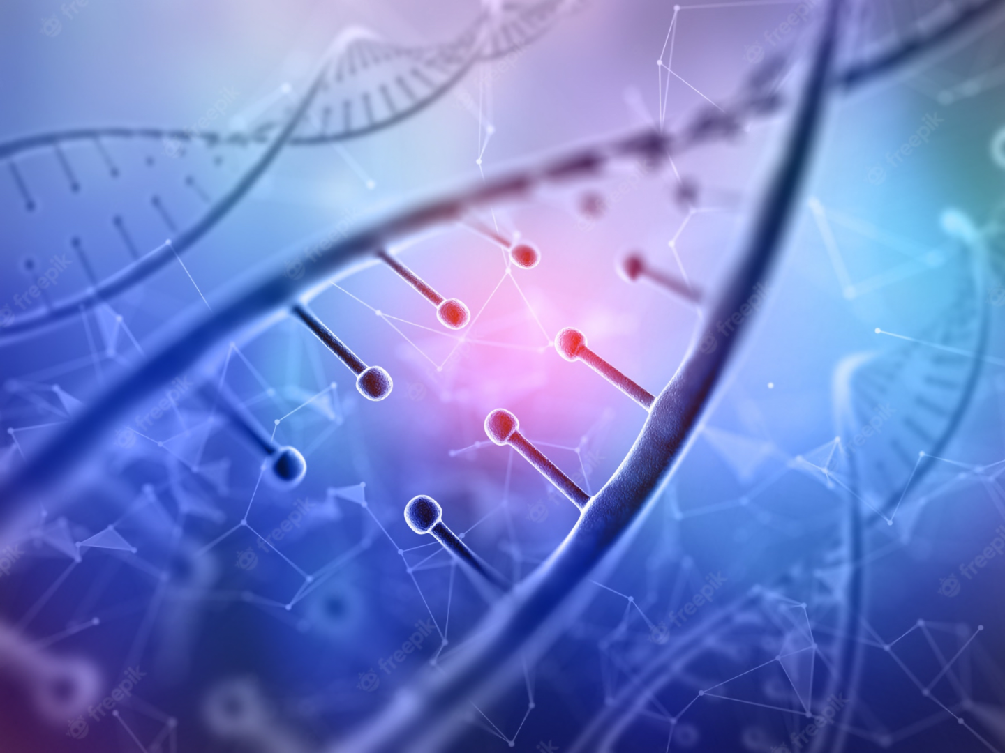 Image of the Double Helix of DNA