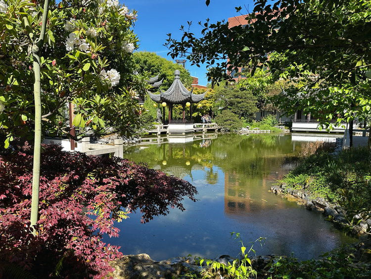 Photo of pond in foreground, open wooden structure in back, and green and colorful vegetation on either side