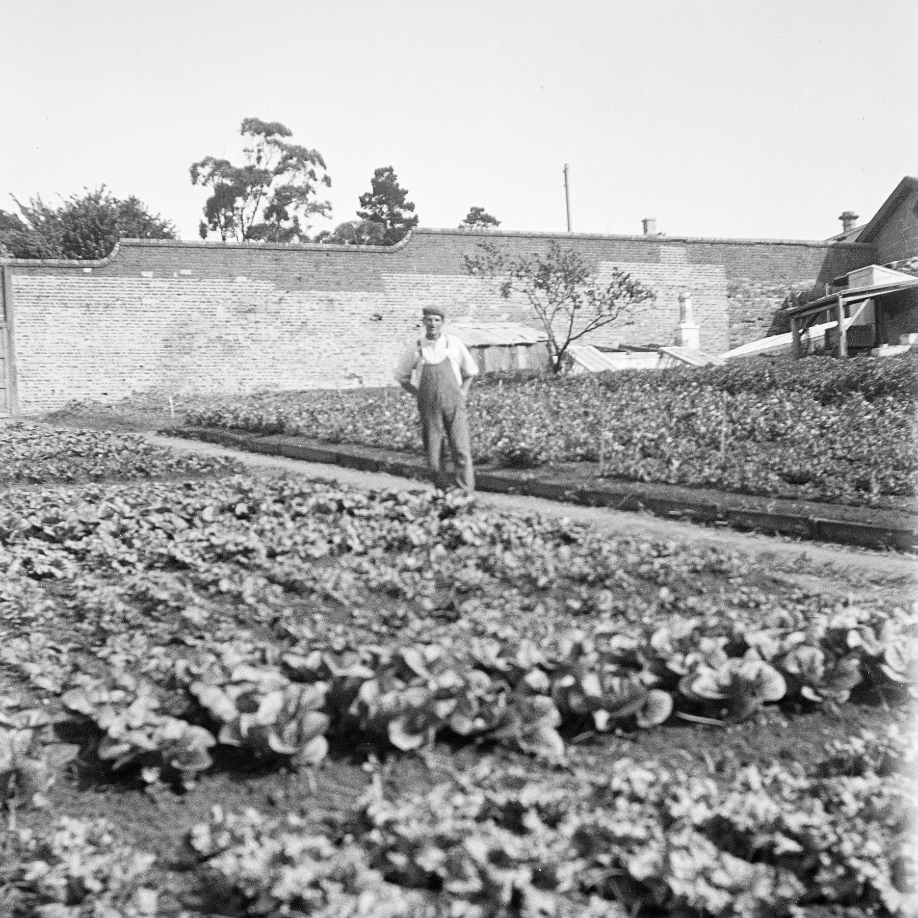 Home is where the food grows