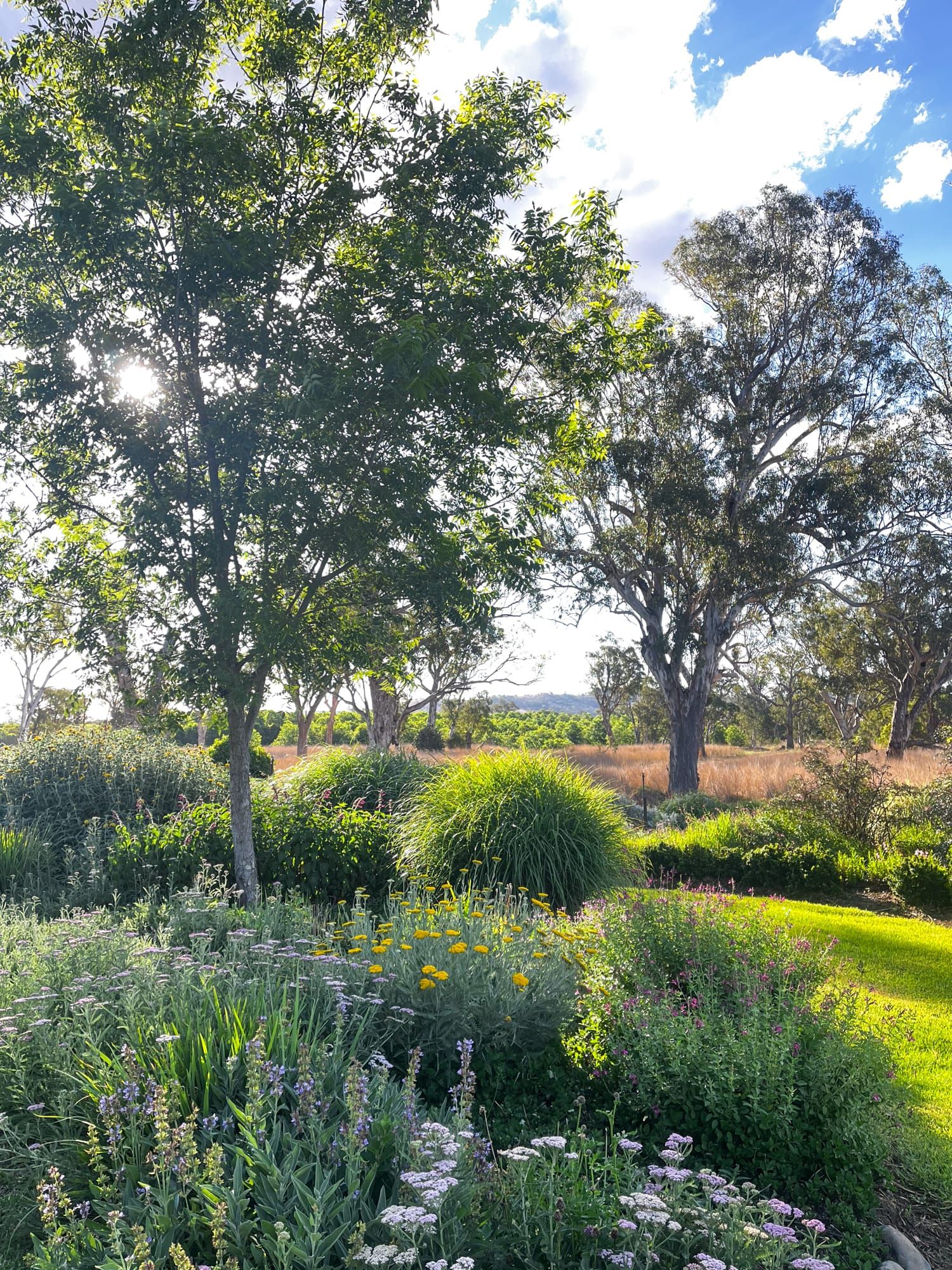 The gardener's return