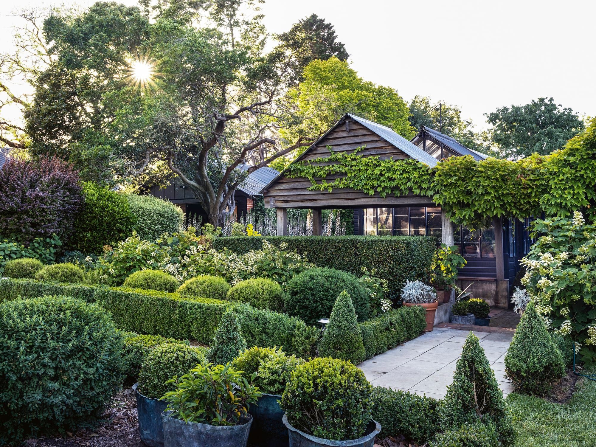 Hand of the gardener