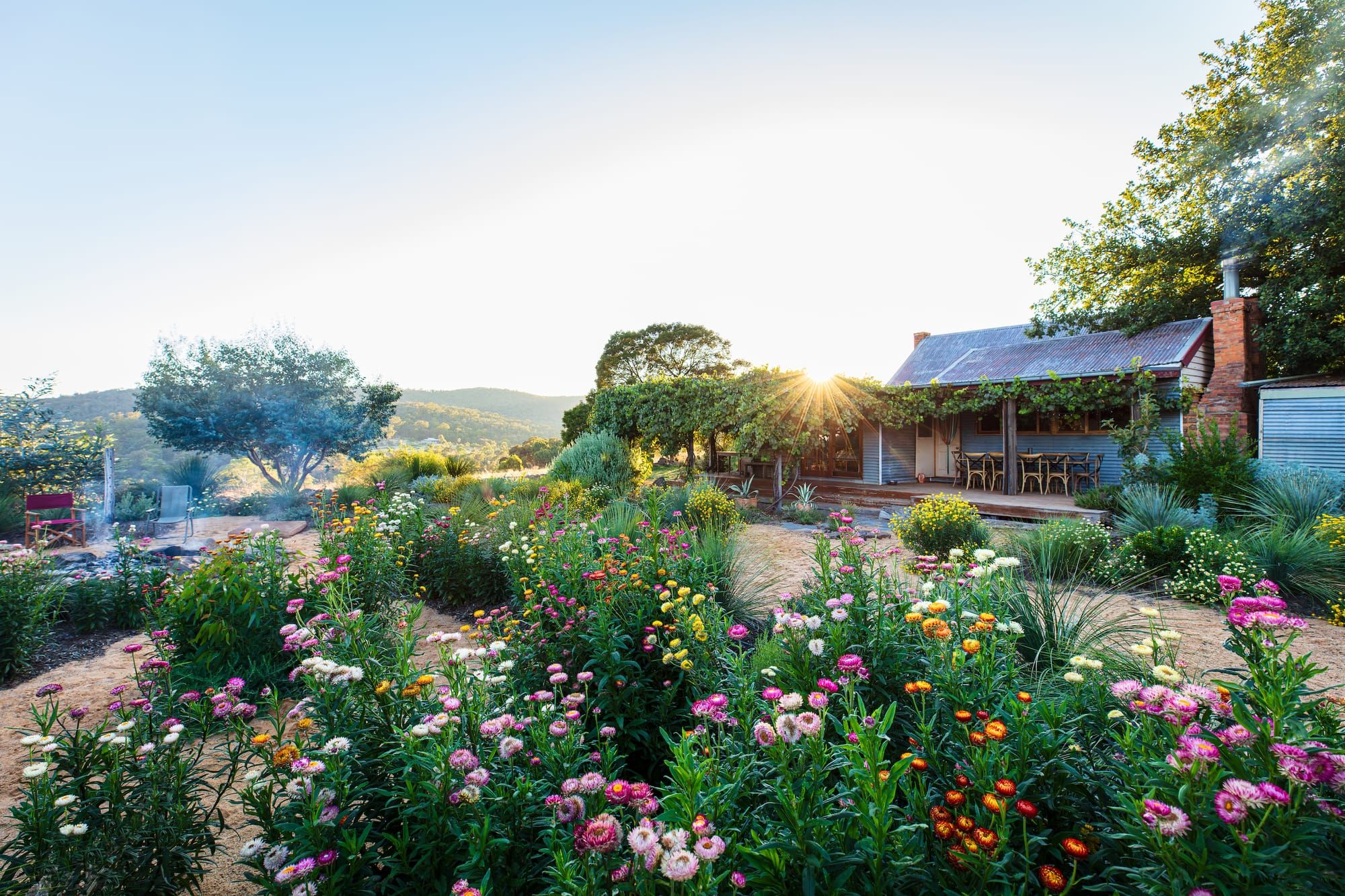 A creek bed garden