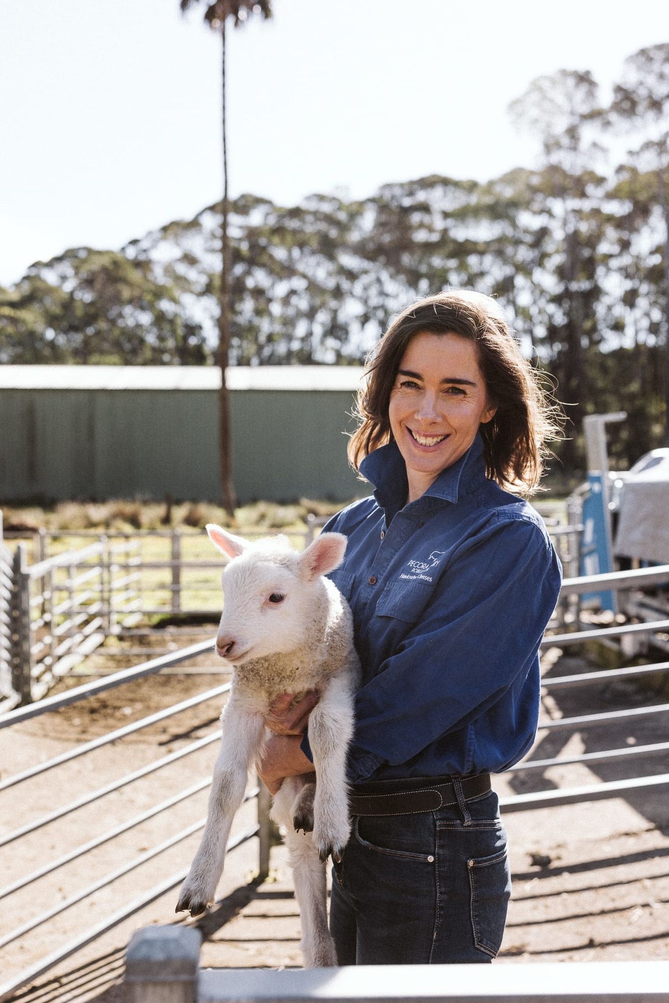 Cressida Cains: Award-winning Dairy Farmer
