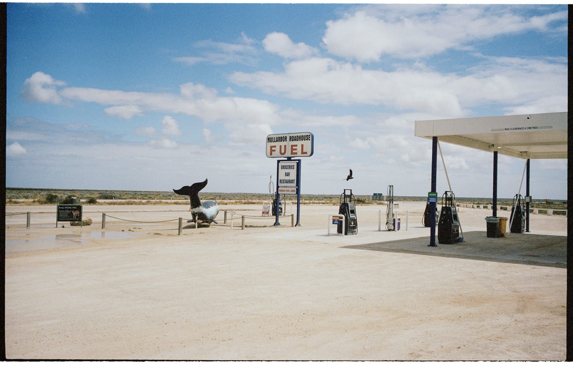 The great Australian road trip