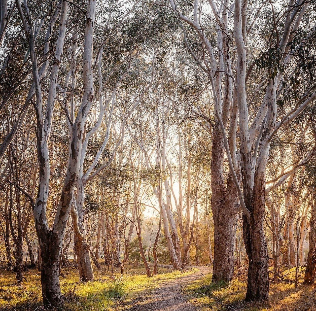 Gippsland: Sea to snow