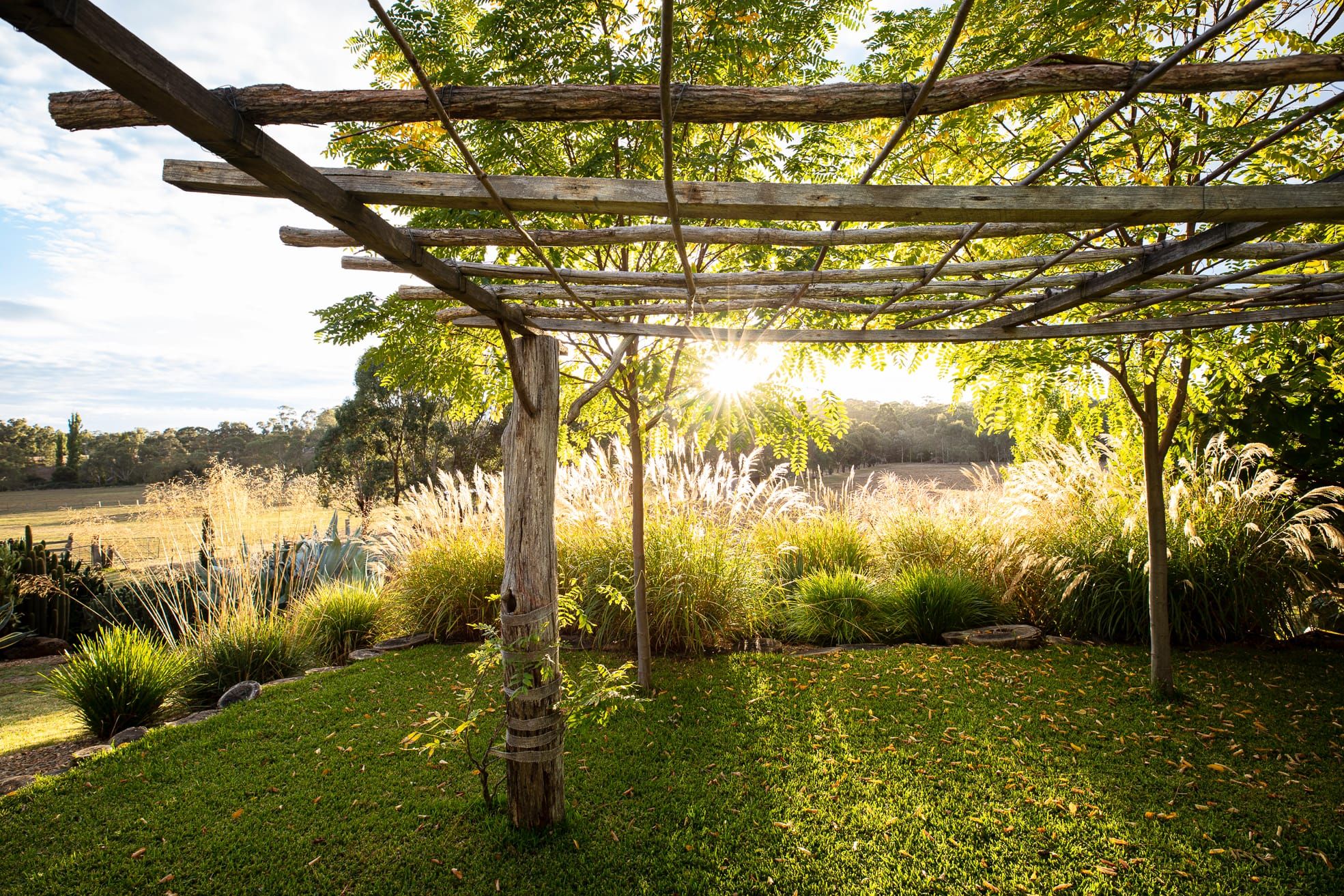 Top 10 garden heroes in tough times