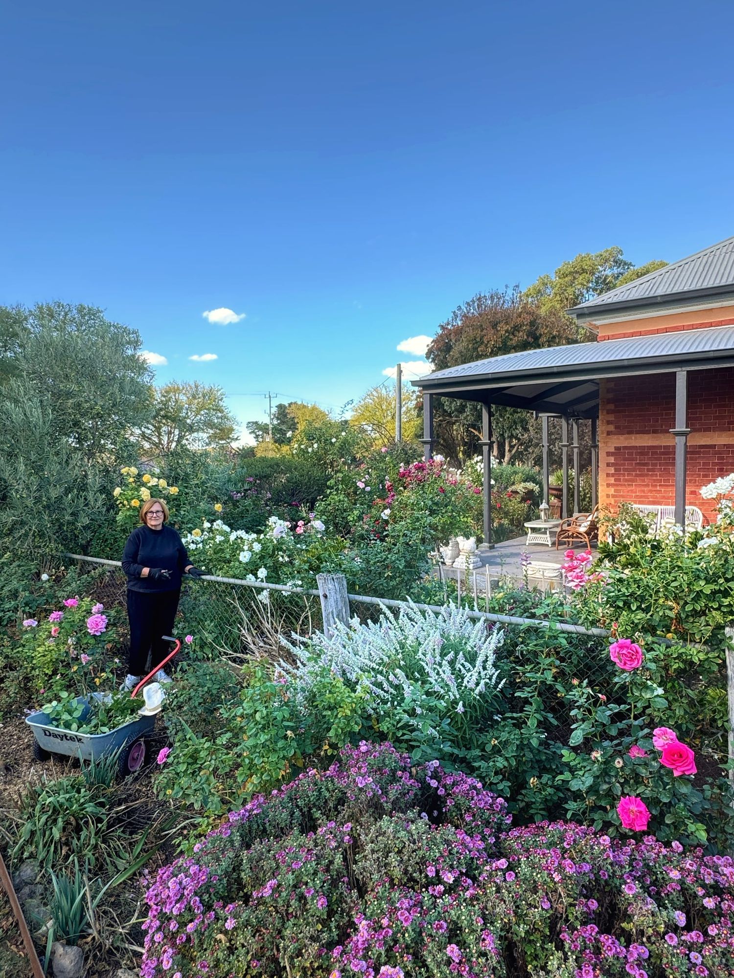 The quest for beauty