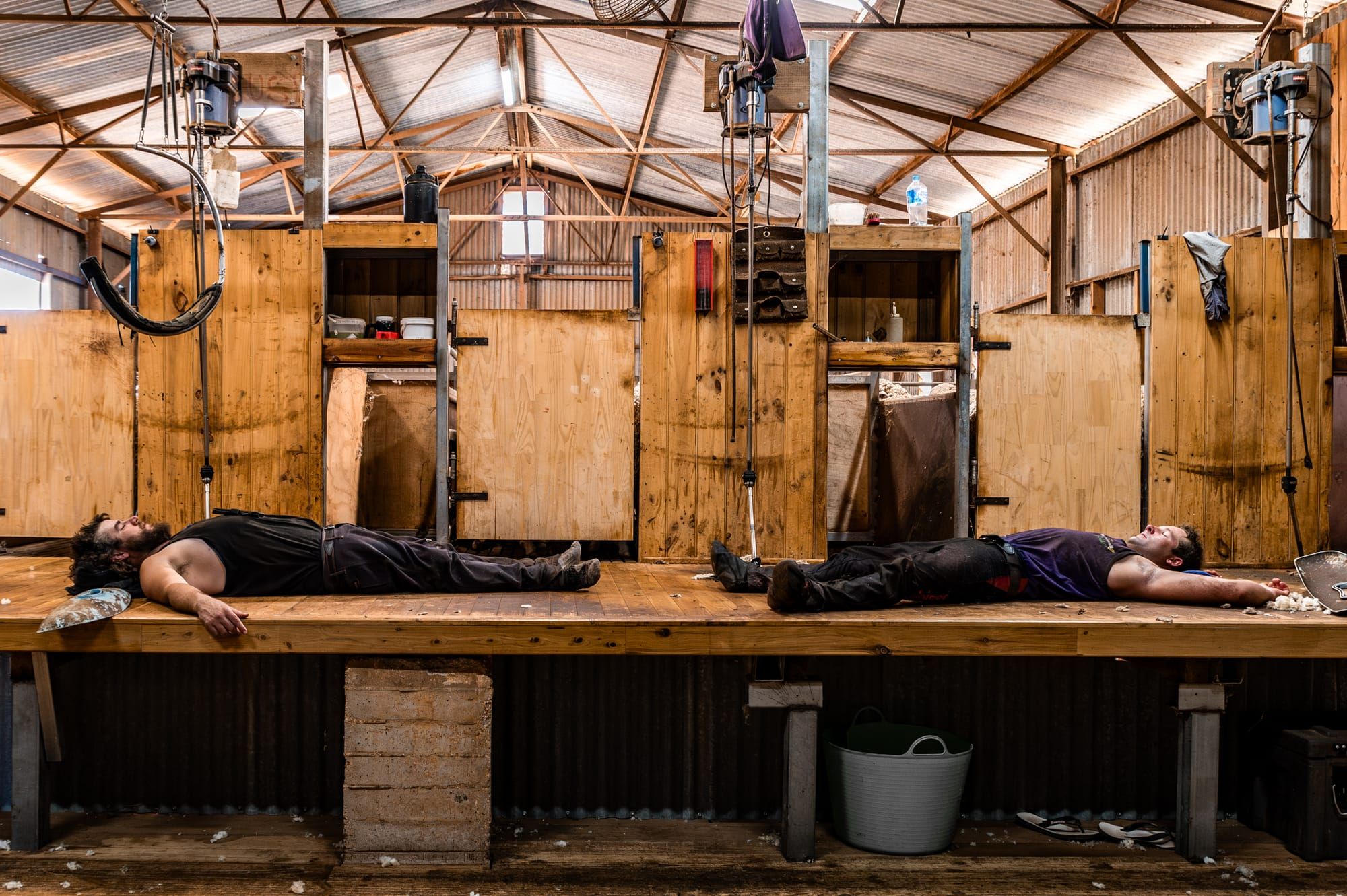 Dinosaurs on main street