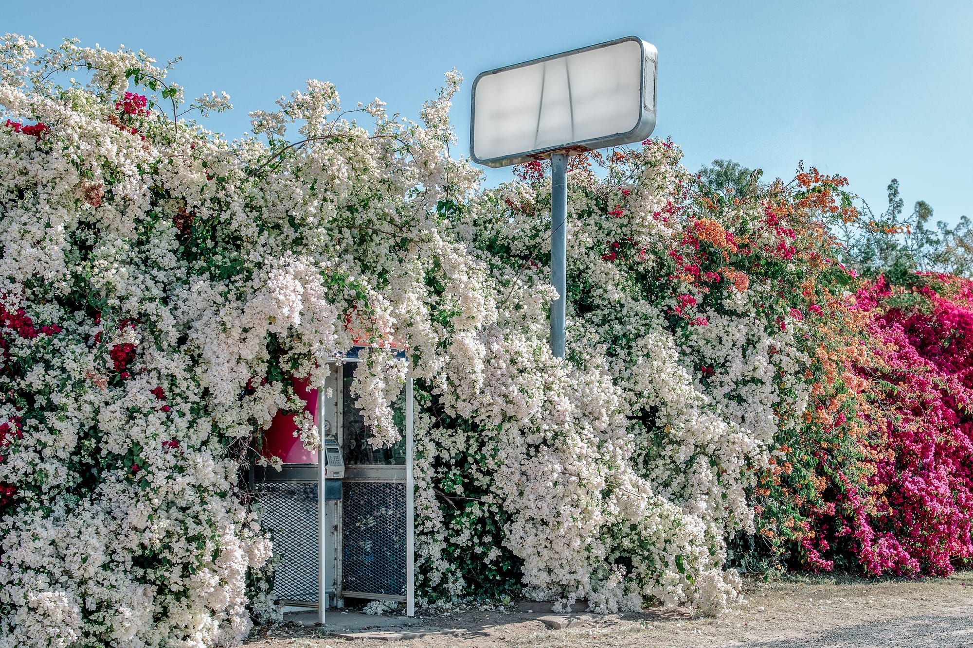 Are you a Patron of The Arts?