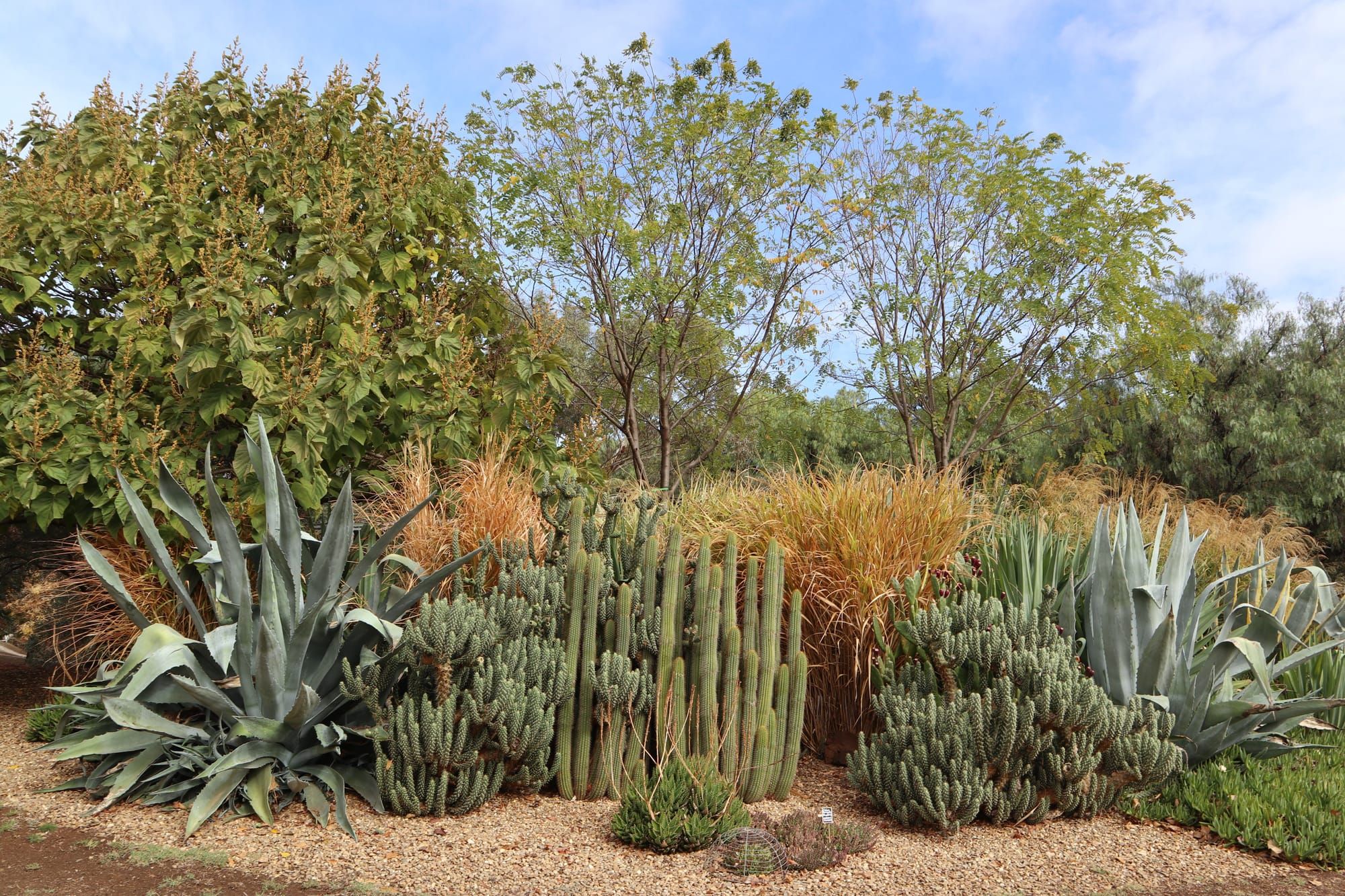 The open garden and the lost key