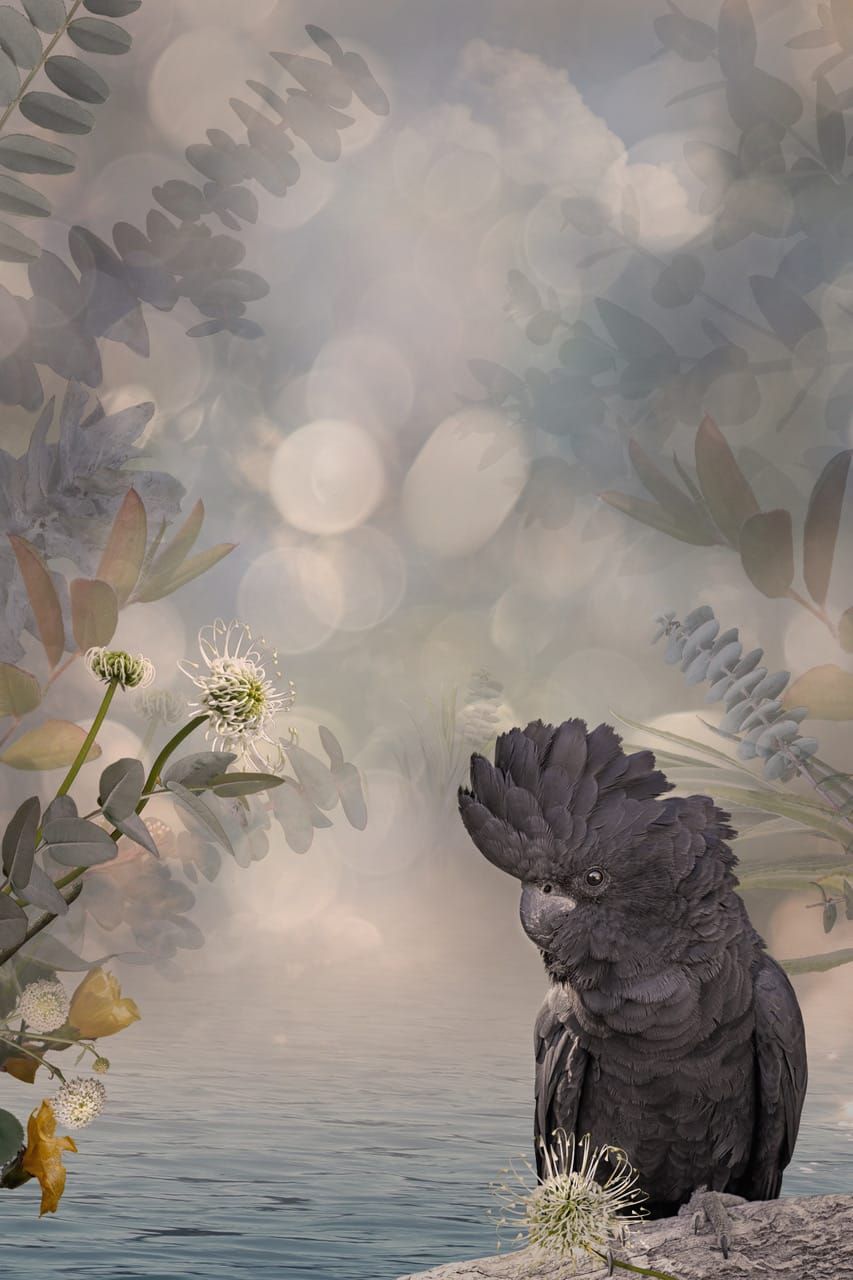 Saving our fragile beauty