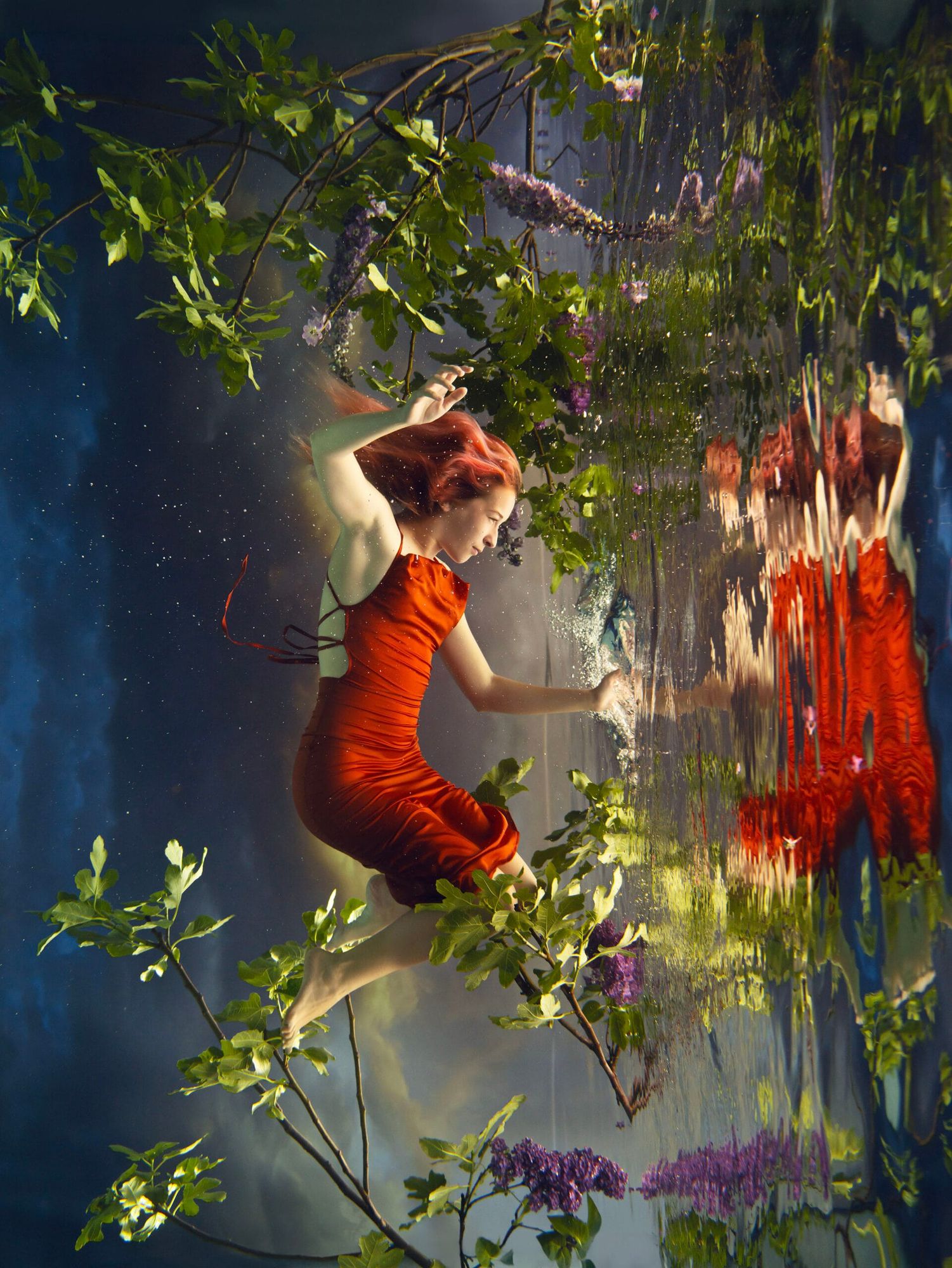 How to feed a nation