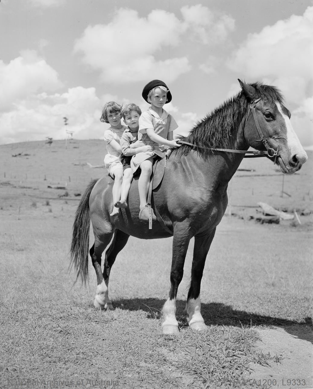 What's happening in our country schools?