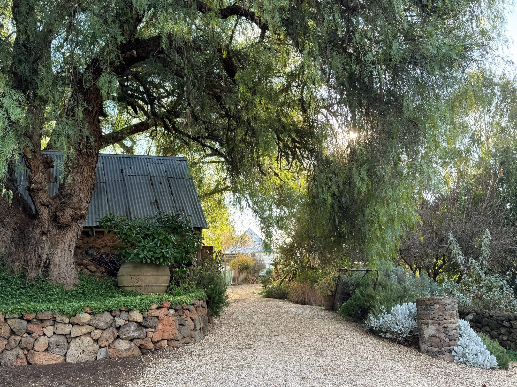 Gardener and Goliath