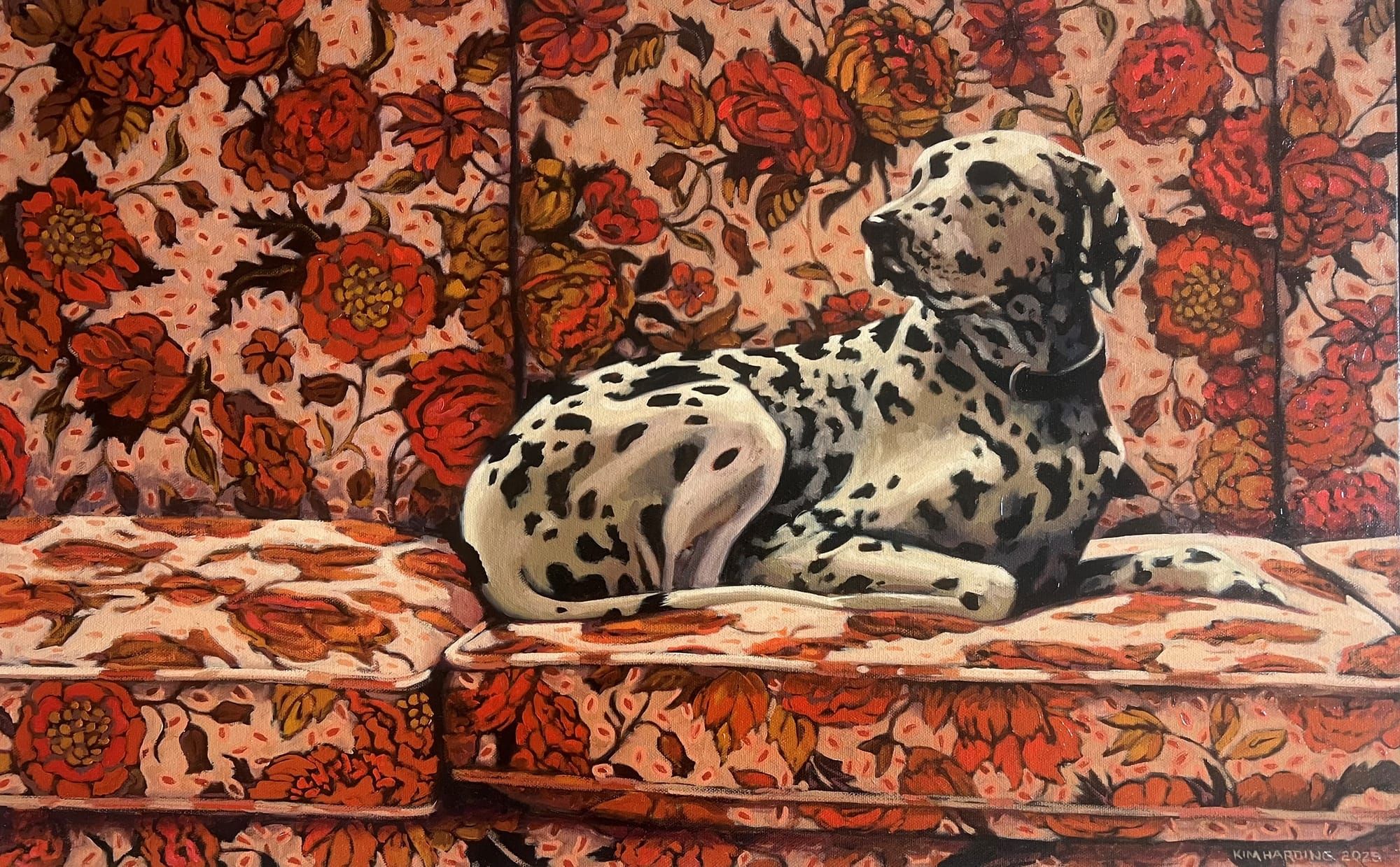 The hunt for the sex-switch ferals