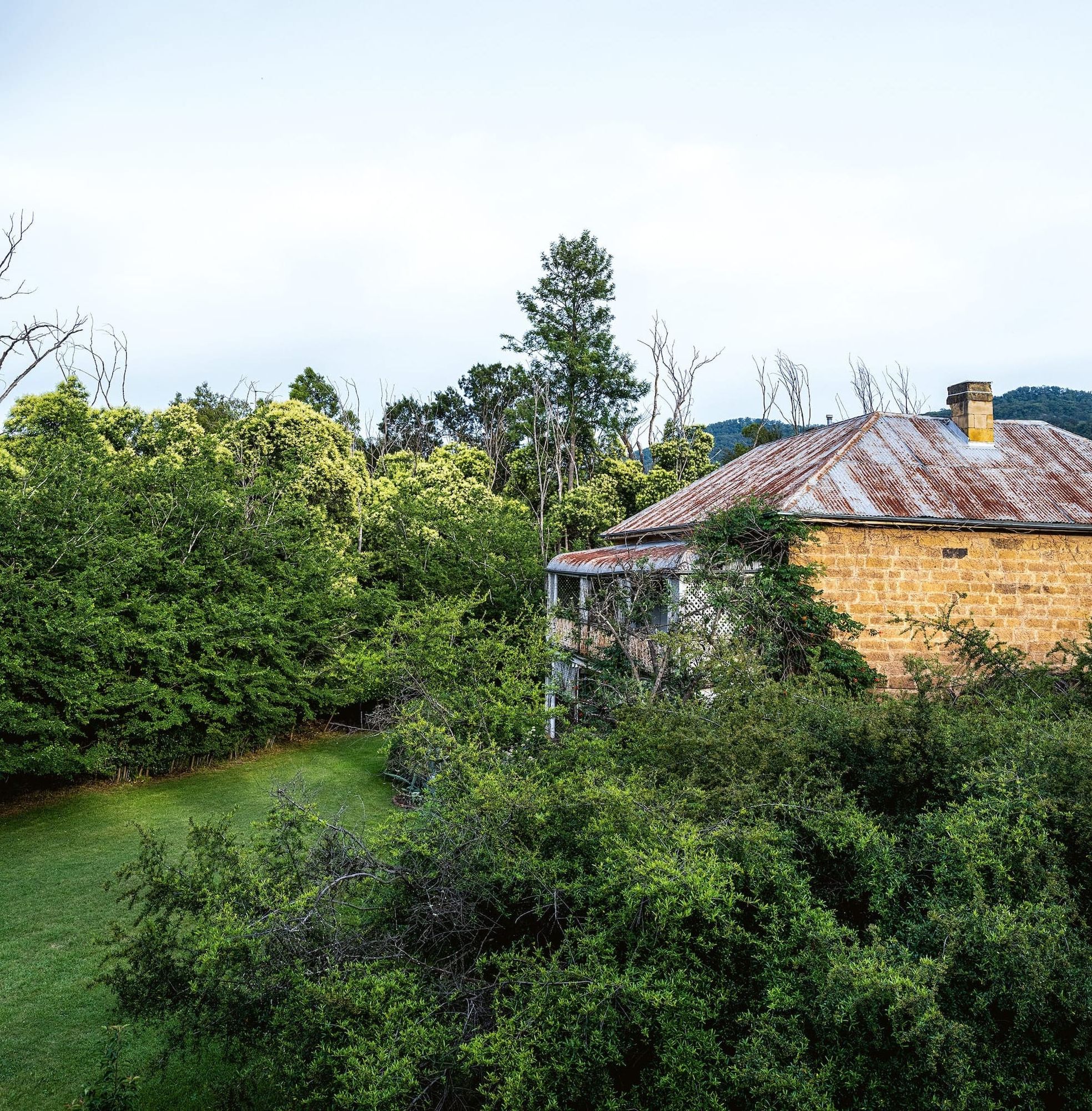 A letter from the editor