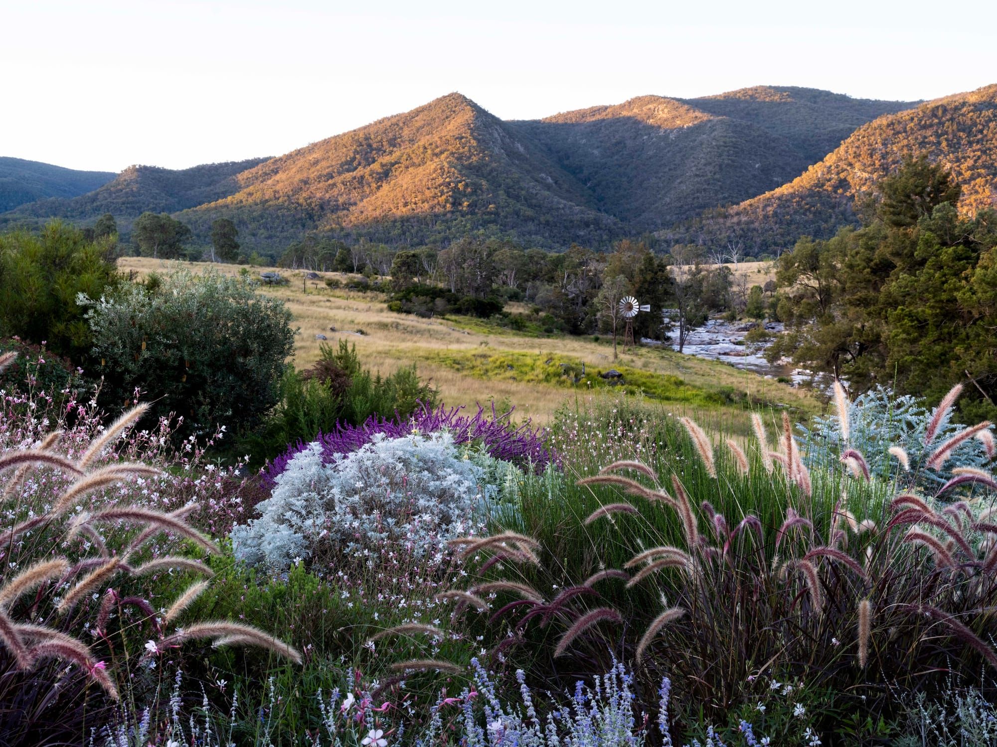 Carolyn Robinson's open garden weekend