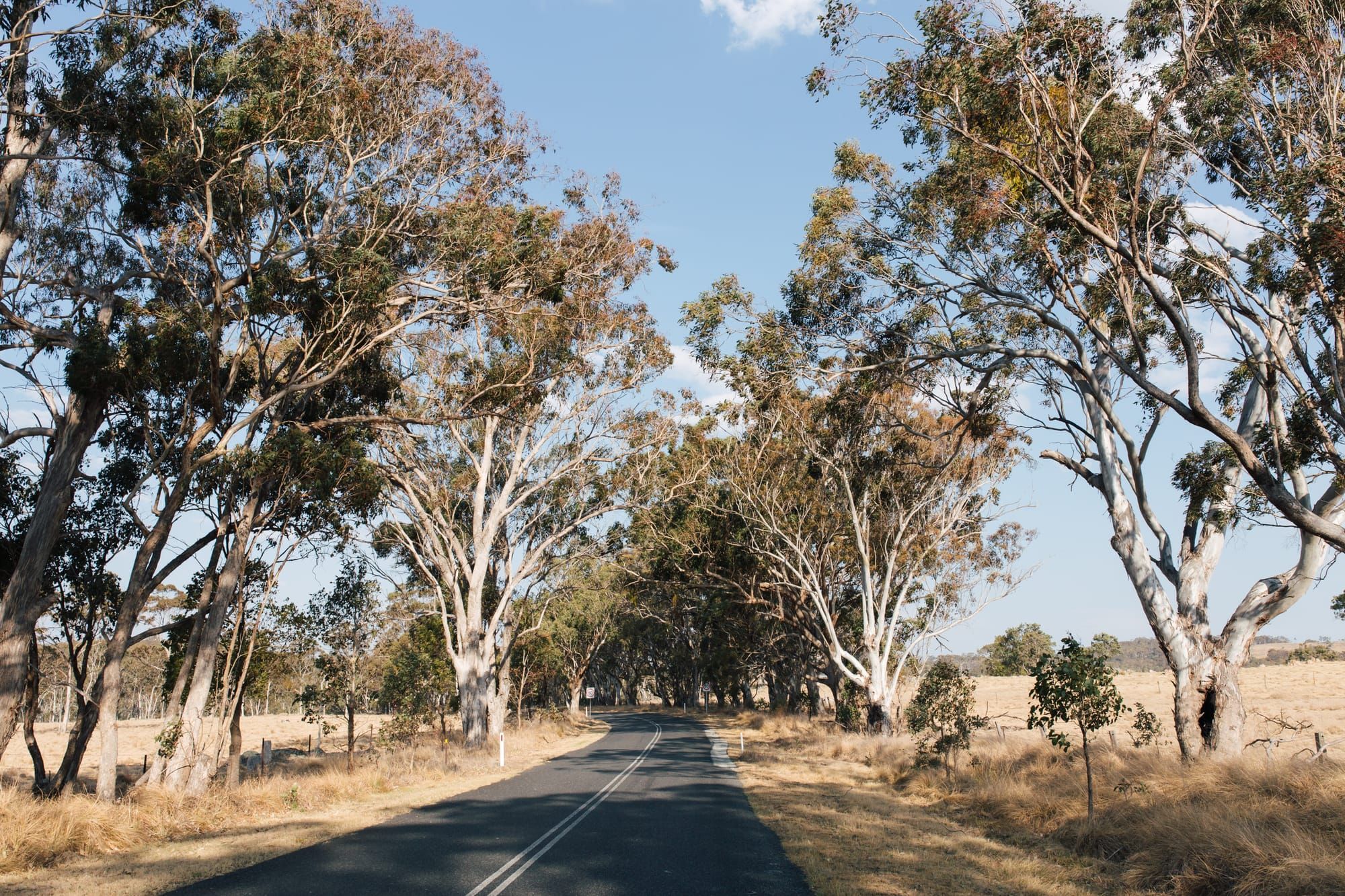 Tenterfield and surrounds: a travel guide