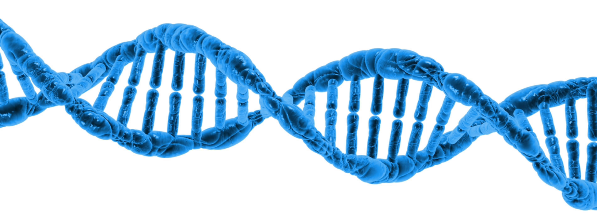 The 23andMe bankruptcy