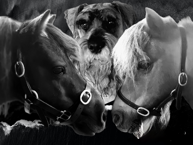 ACTUALLY, YES...THEY ARE MY CHILDREN.