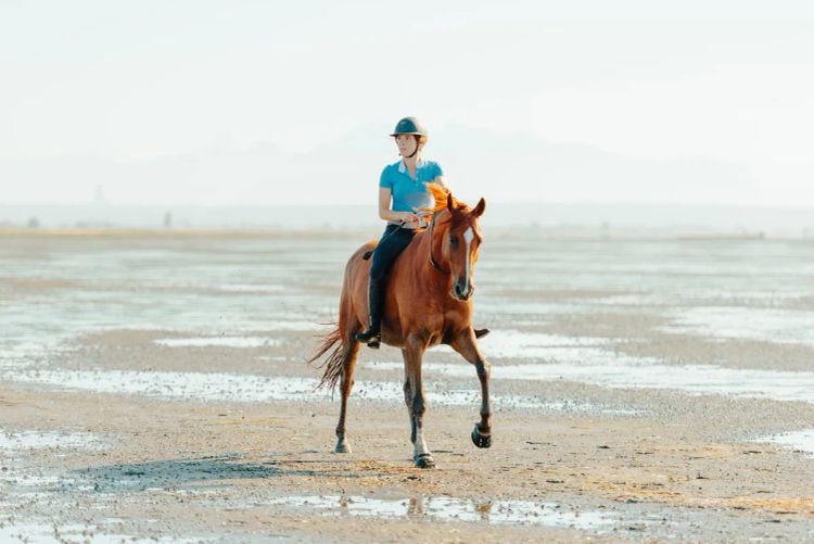 Queens of Media: Shelby Dennis Leading the Charge for Equine Welfare and Education