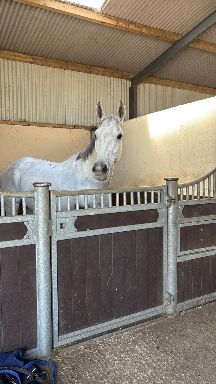 Asterion Forlonge: A New Chapter for Racing’s Grey Gentleman