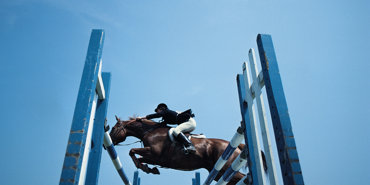Champion Showjumper Says State Body Failed Her After Abuse Conviction