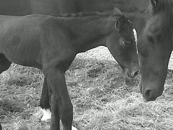 “For Life” ...But What Does That Actually Mean?