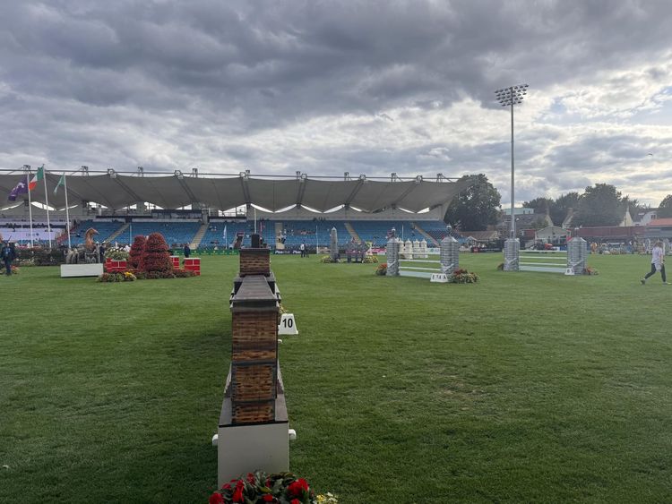 Accessibility Concerns Raised Following Incident at Dublin Horse Show