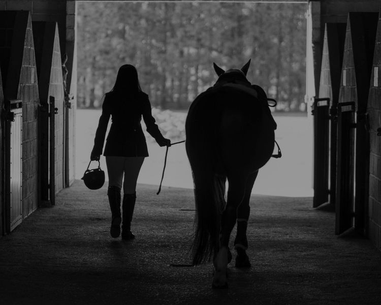 Former Equestrian Industry Figure Jailed for Historic Sexual Assault
