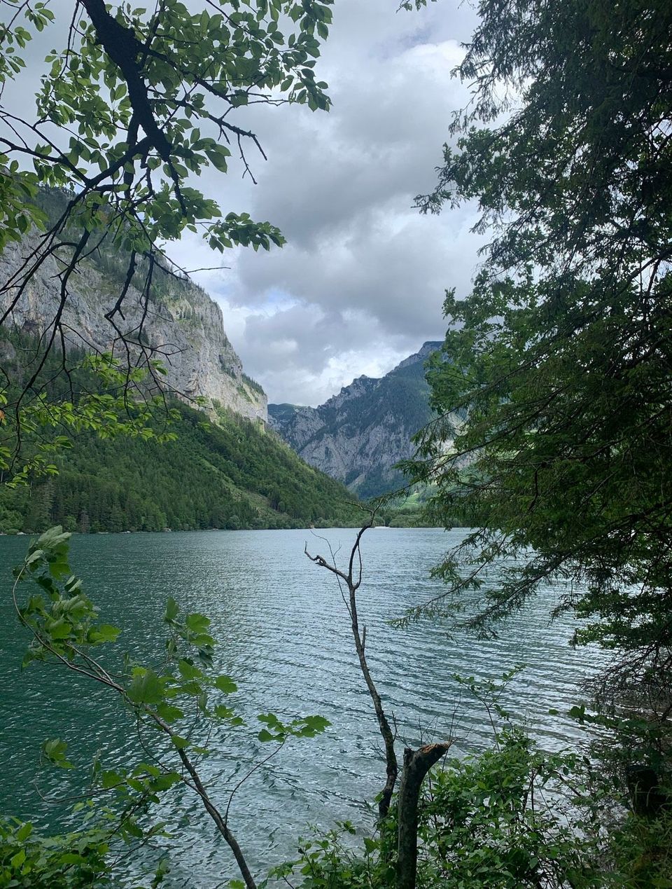 Life is Overwhelming