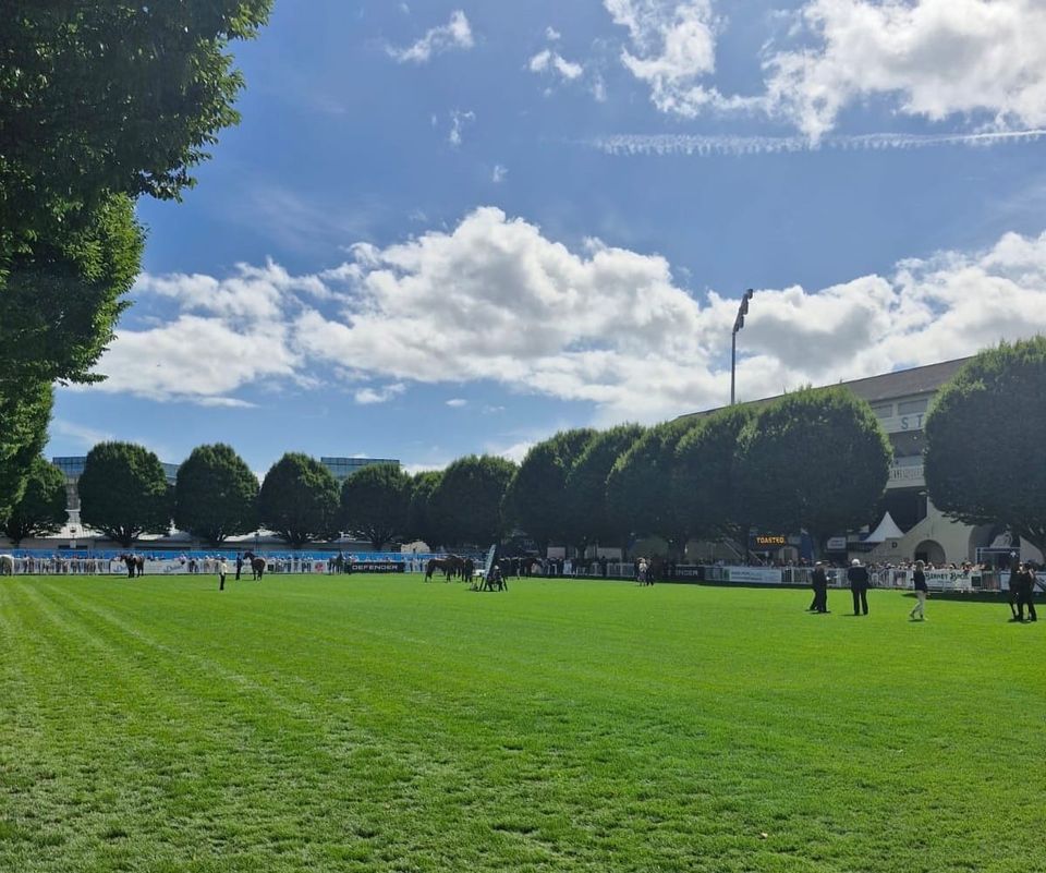 Best Dressed at the RDS