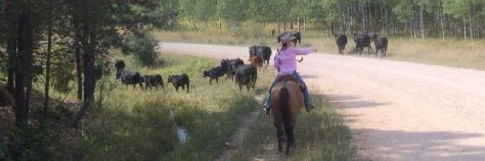 Equitas Announces the Return of Sally Ann Grassick as a Speaker for International Women’s Day 2025