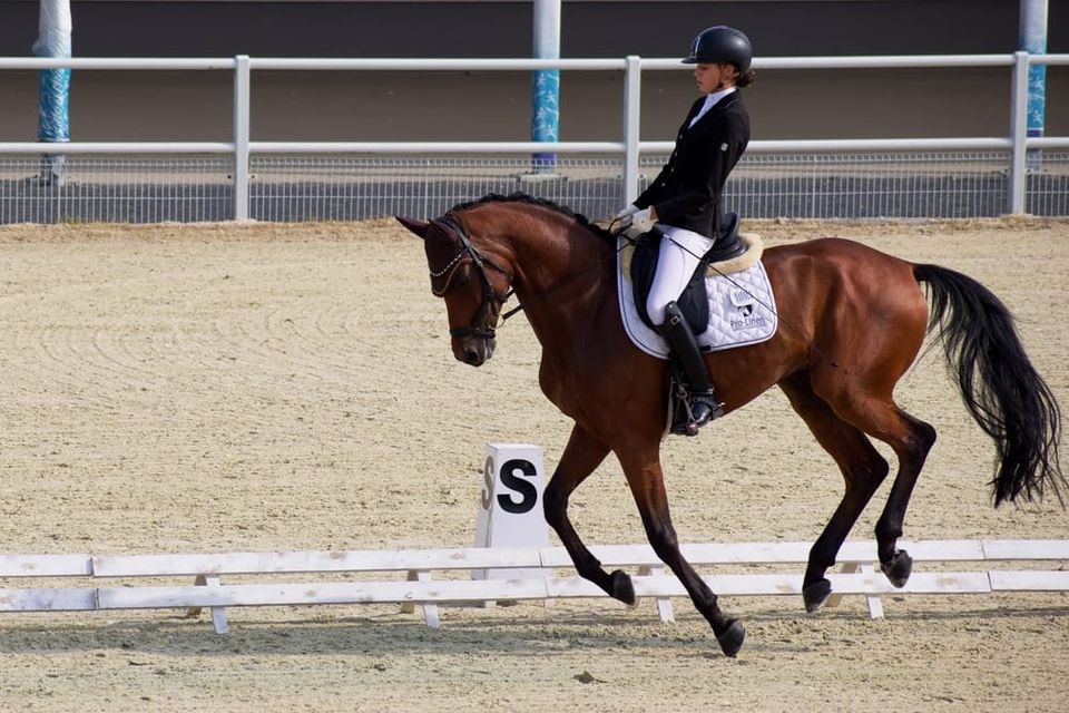 How Female Para Equestrians Keep Pushing Forward While the Sport Drags Its Feet