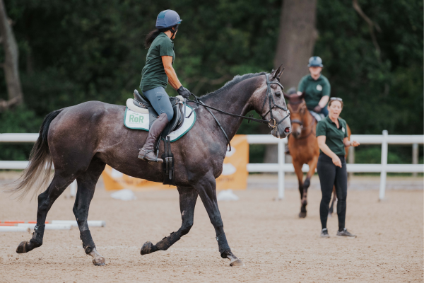 Retraining of Racehorses receives £321,000 grant from the Racing Foundation and the John Pearce Foundation