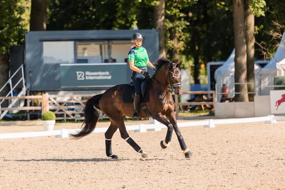 “We Just Got On”: Sarah Slattery on Horses, Home and Holding the Line in Para-Dressage
