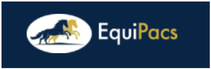 A Small Business Under Attack