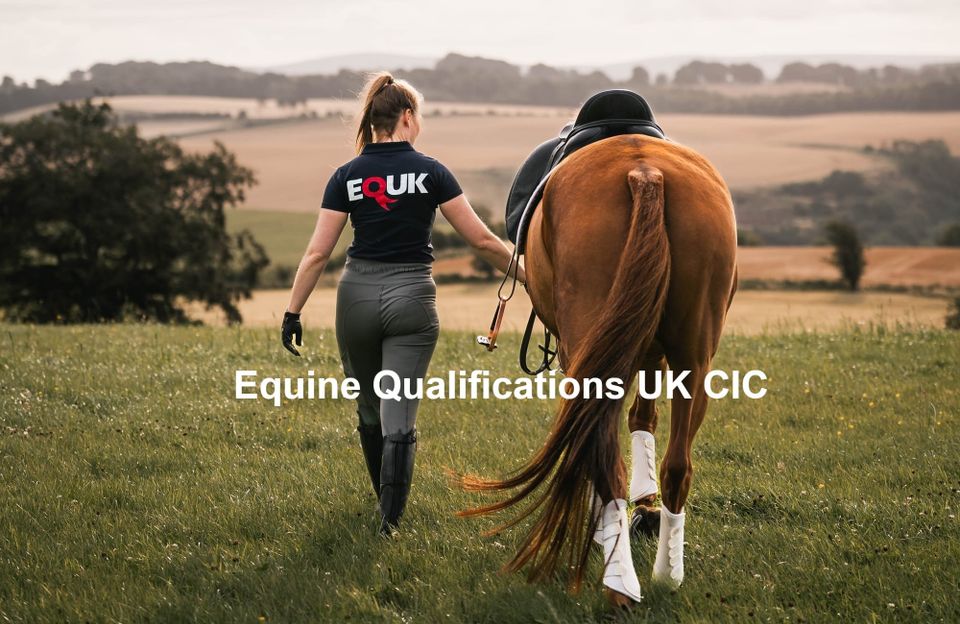 EQUK: Cat Carter's Mission to Reshape Equestrian Education