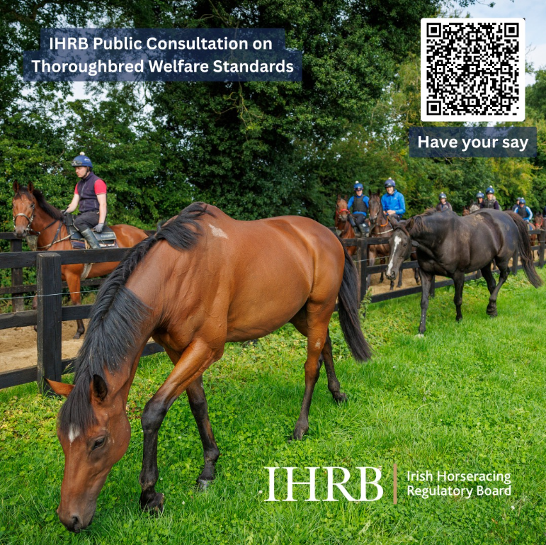 IHRB Public Consultation on Draft Thoroughbred Welfare Standards