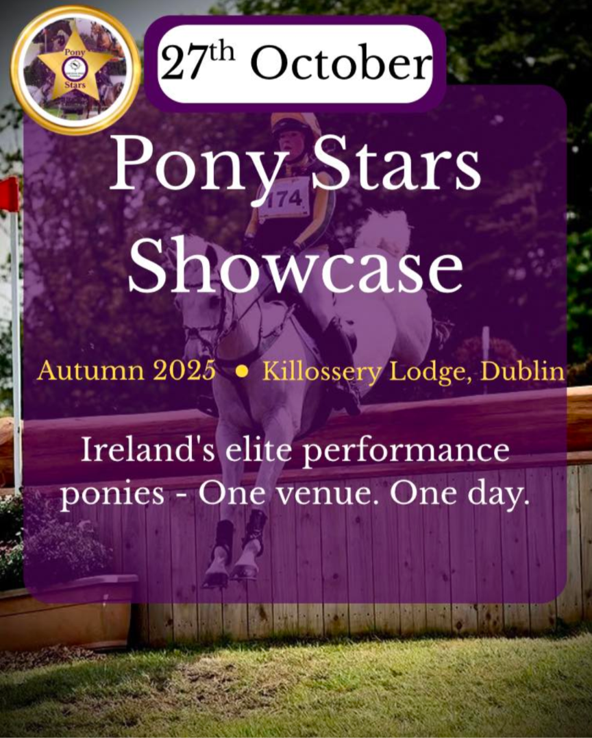 Pony Stars Showcase 2025: Connecting Ireland’s Elite Ponies with National and International Buyers