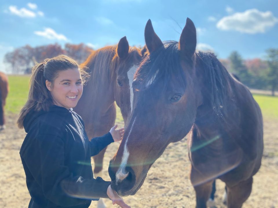 Getting High (Off Your Horse)