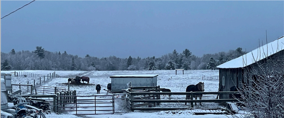 Why I’m still going