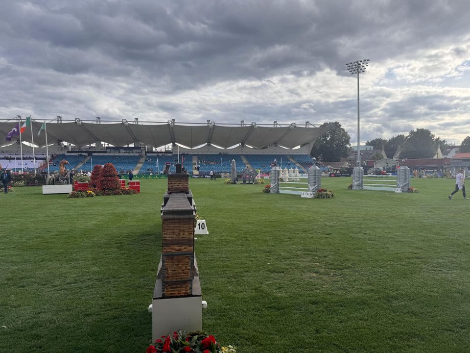 Accessibility Concerns Raised Following Incident at Dublin Horse Show