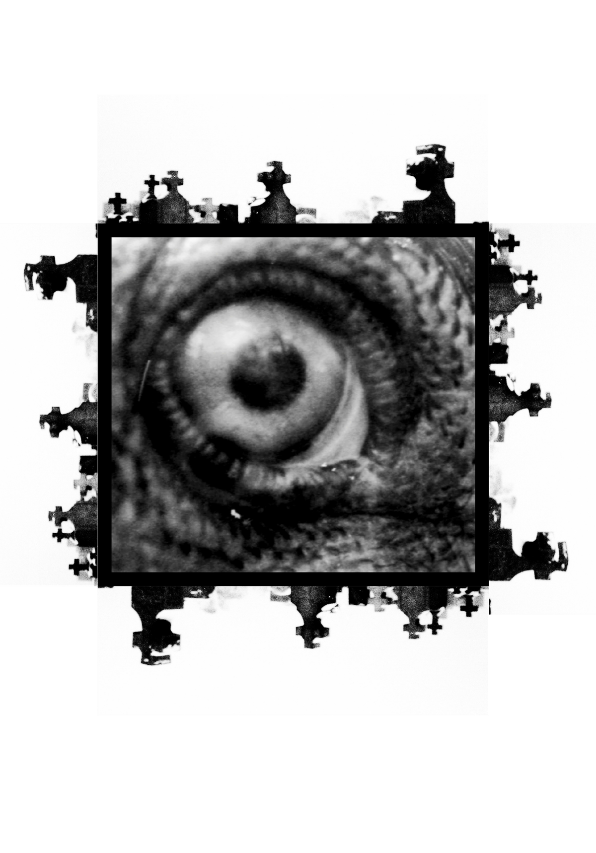 A dream that wants to burn itself into film thresholds