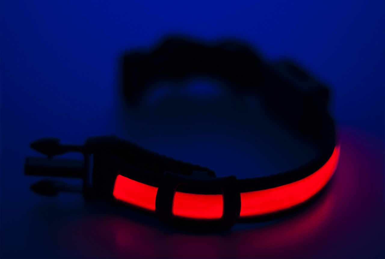 Ошейник Halo Belt