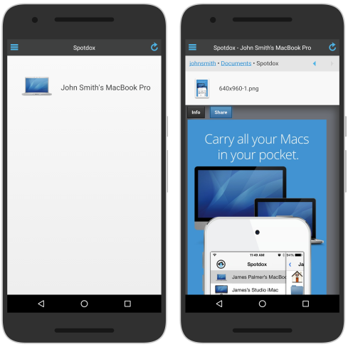 Интерфейс Spotdox