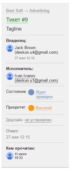 Информационный блок тикета