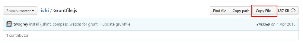 Кнопка «Copy File»