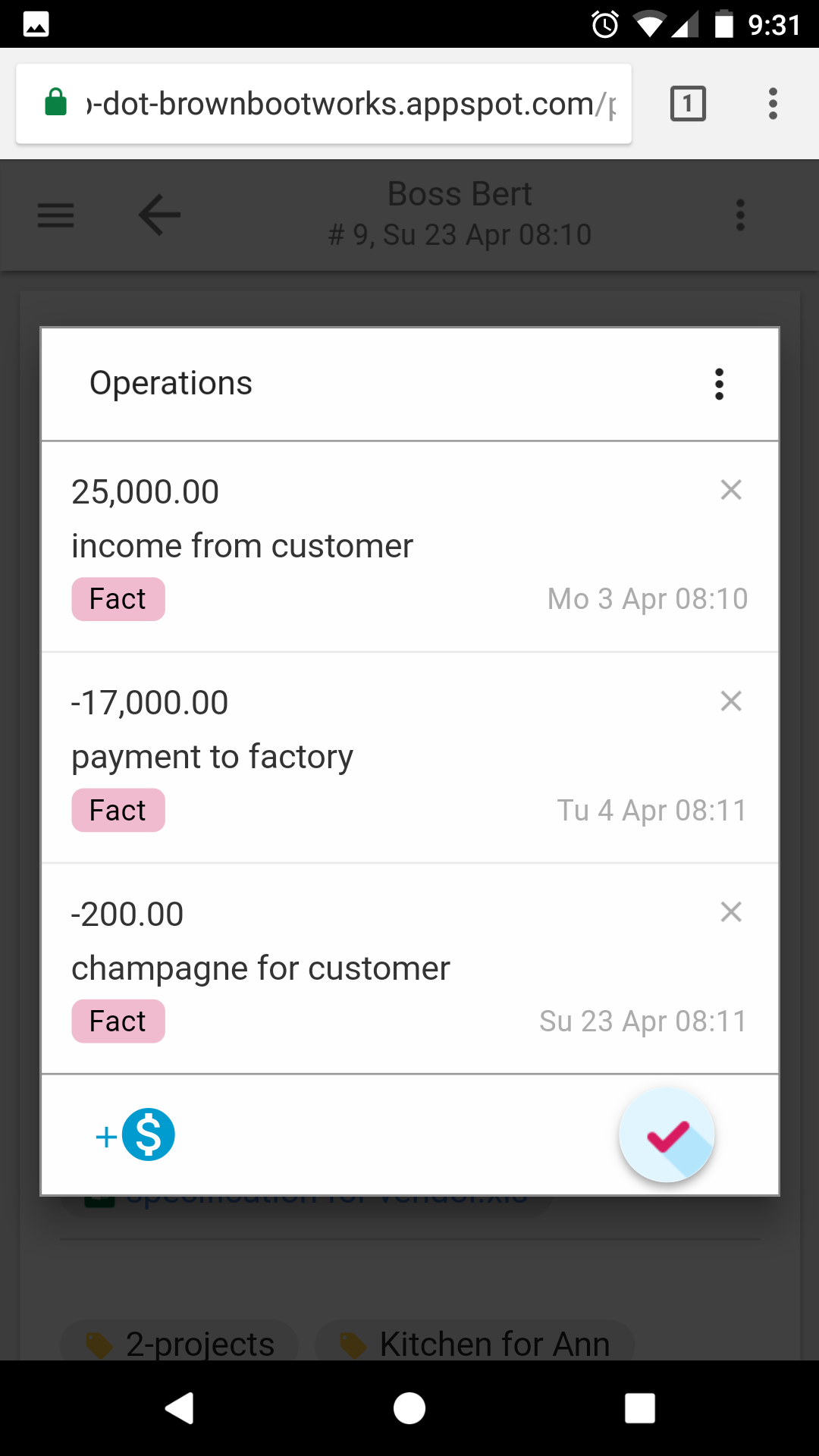 Операции, введённые Руководителем — клиентские проекты