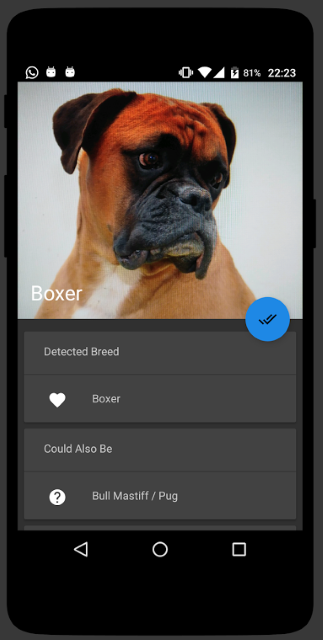 Пример распознанной породы